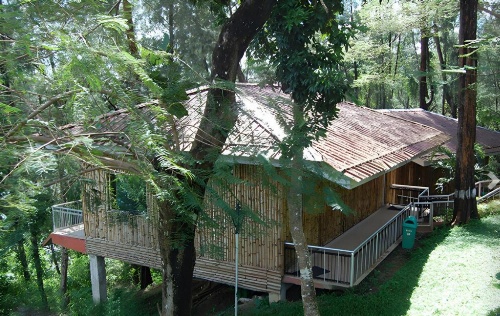 Megapode Resort -Port Blair image 35